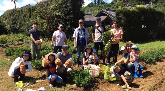 落花生収穫祭の様子