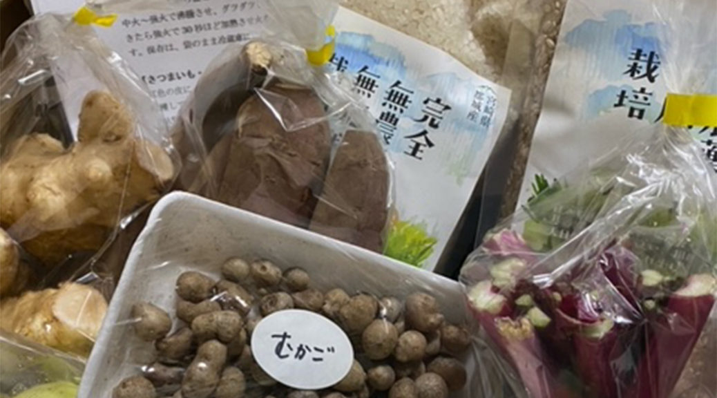 おかもと自然薯農園の野菜BOX